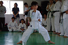 sjun (114)_thumb.png